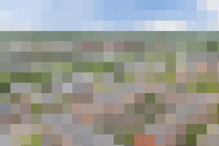 Rose-Mariepad 8 Utrecht thumbnail 68