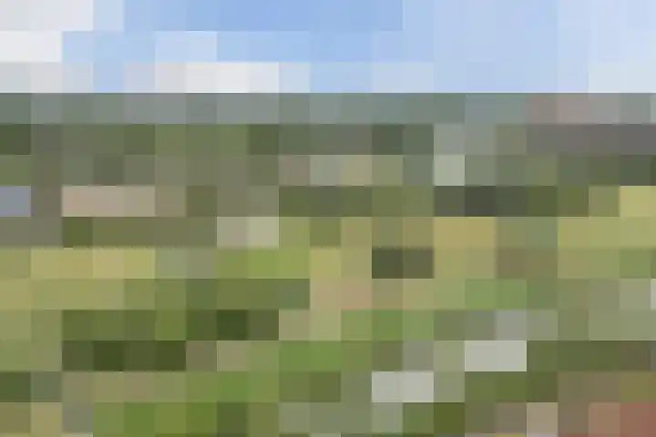Rose-Mariepad 8 Utrecht thumbnail 69