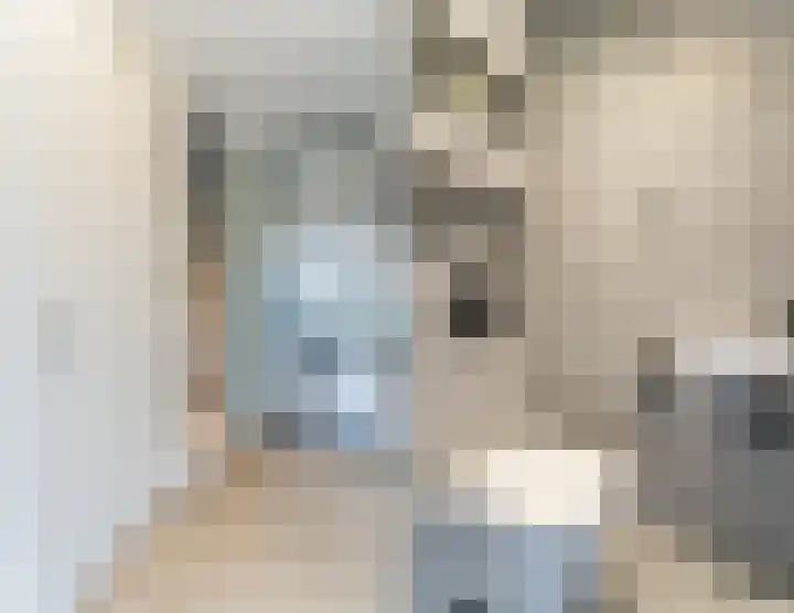 Rose-Mariepad 8 Utrecht thumbnail 7