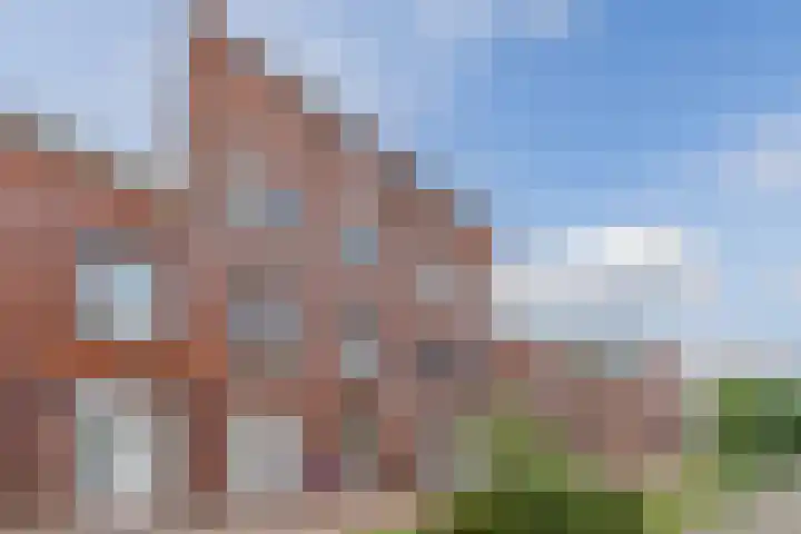 Rose-Mariepad 8 Utrecht thumbnail 78