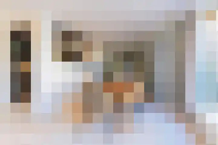 Rose Précocestraat 18 Andijk thumbnail 14