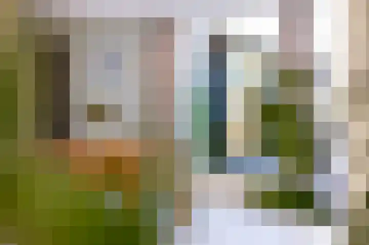 Rose Précocestraat 18 Andijk thumbnail 23
