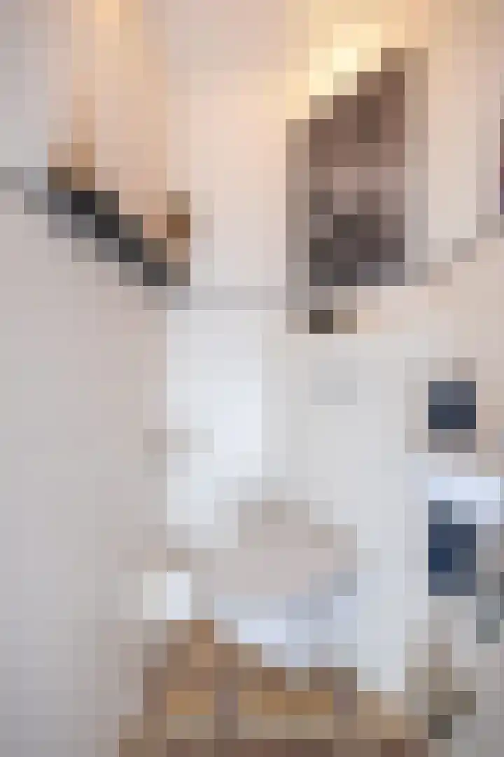 Rose Précocestraat 18 Andijk thumbnail 34