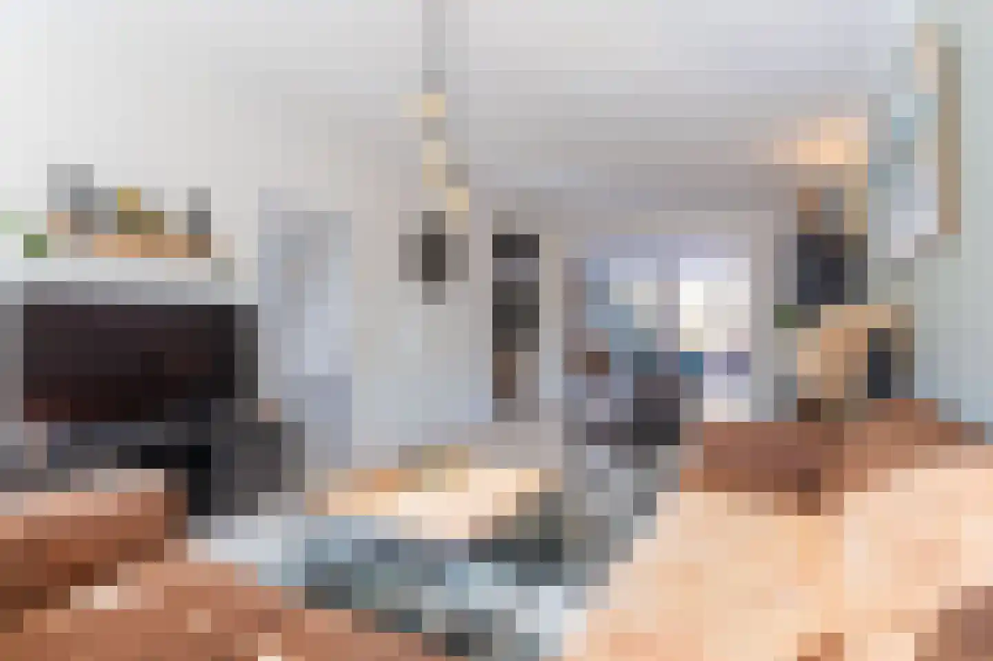 Rose Précocestraat 18 Andijk thumbnail 6