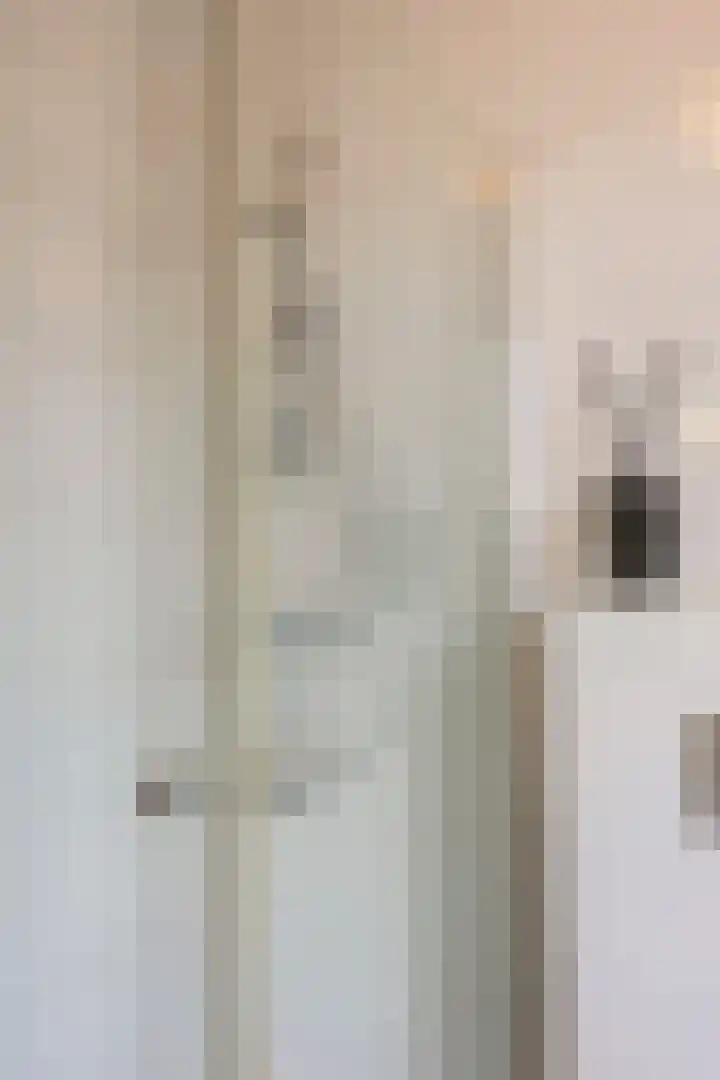 Roseboomlaan 14 Ede thumbnail 20