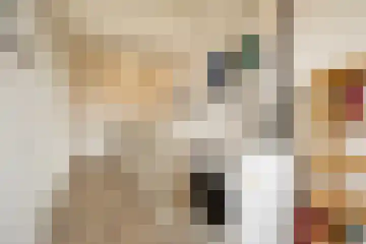Roseboomlaan 14 Ede thumbnail 23