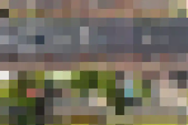 Roseboomlaan 14 Ede thumbnail 33