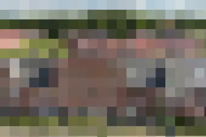 Roseboomlaan 14 Ede thumbnail 36