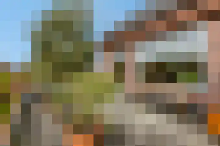 Roseboomlaan 76 Ede thumbnail 15
