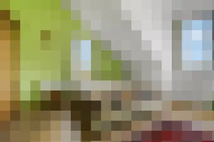 Roseboomlaan 76 Ede thumbnail 21