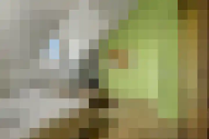 Roseboomlaan 76 Ede thumbnail 23