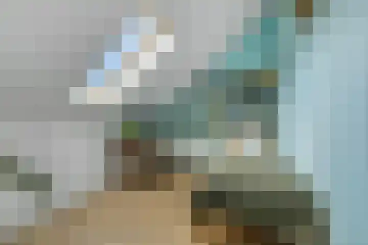 Roseboomlaan 76 Ede thumbnail 24