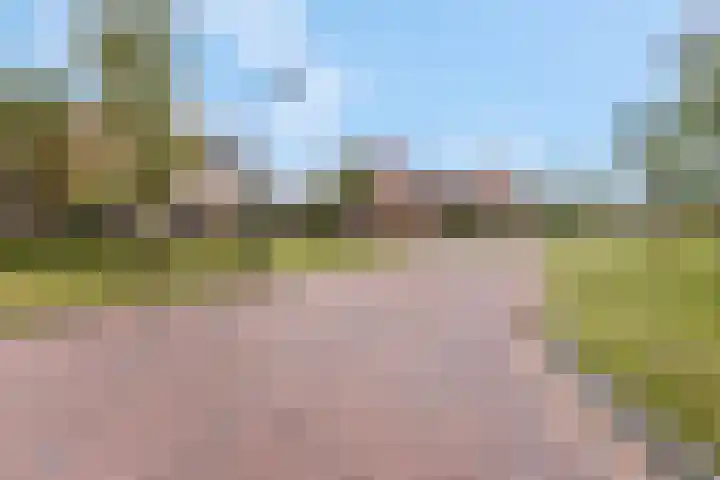 Roseboomlaan 76 Ede thumbnail 28