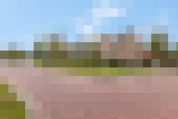 Roseboomlaan 76 Ede thumbnail 29