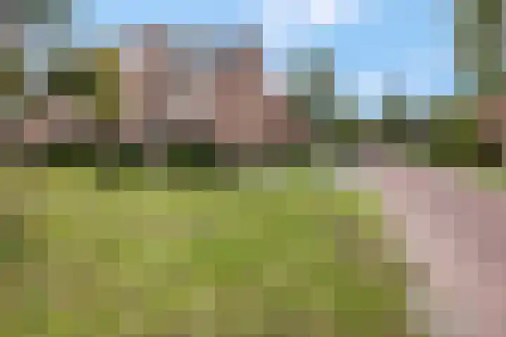 Roseboomlaan 76 Ede thumbnail 33
