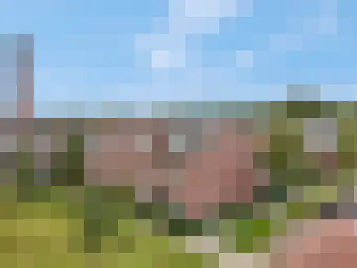 Roseboomlaan 76 Ede thumbnail 35