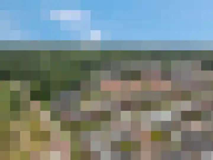 Roseboomlaan 76 Ede thumbnail 36