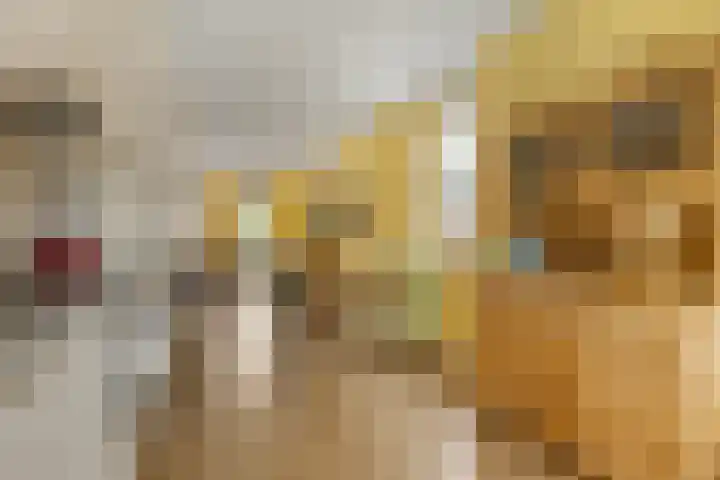 Roseboomlaan 76 Ede thumbnail 8