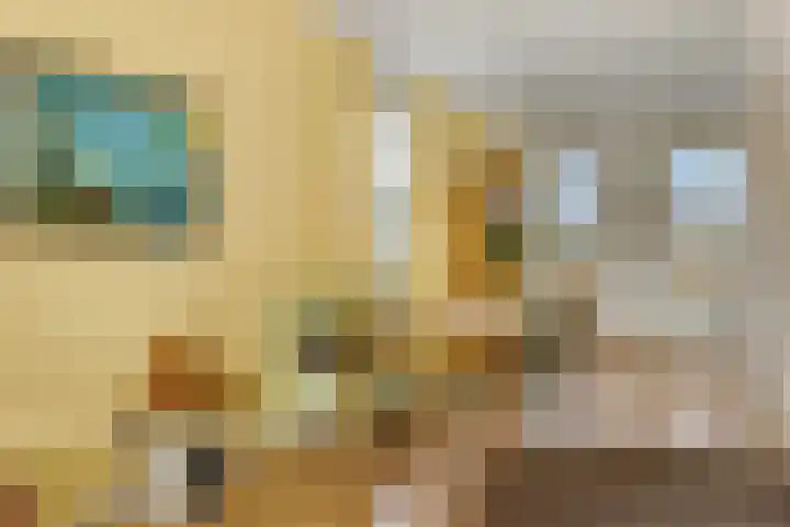 Roseboomlaan 76 Ede thumbnail 9