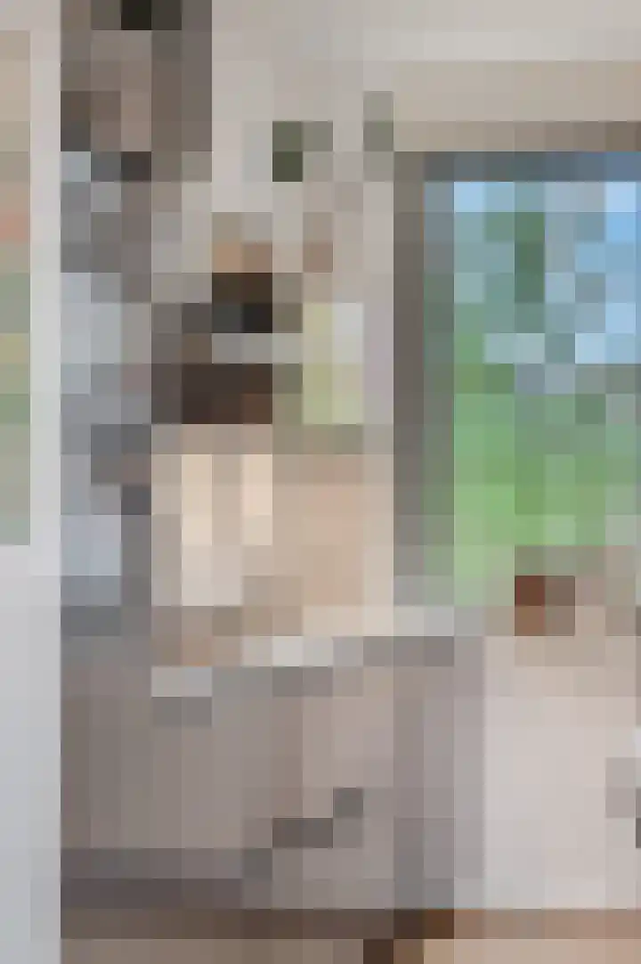 Roseboomlaan 88 Ede thumbnail 12