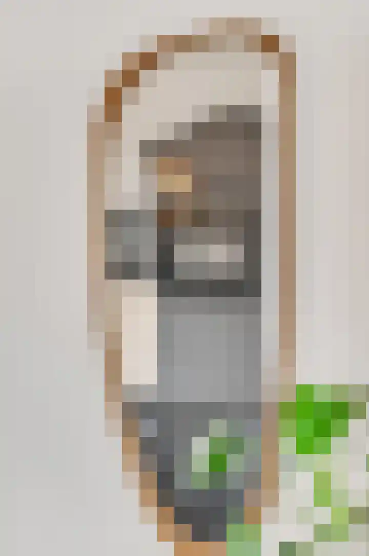 Roseboomlaan 88 Ede thumbnail 14