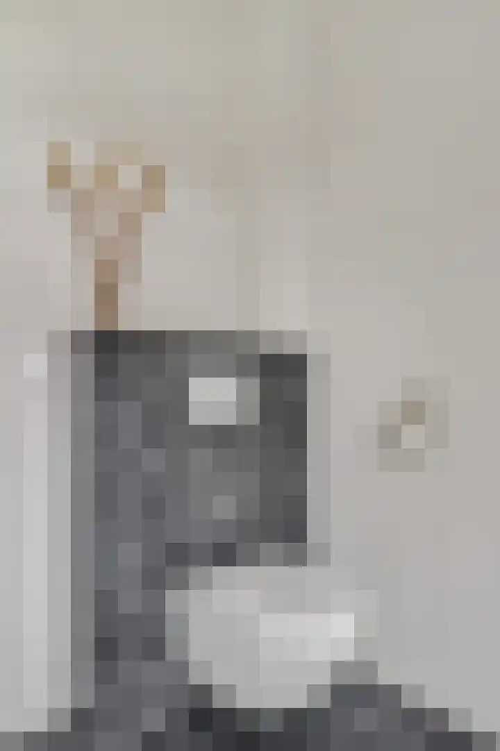 Roseboomlaan 88 Ede thumbnail 20