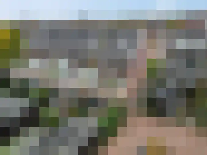 Roseboomlaan 88 Ede thumbnail 32
