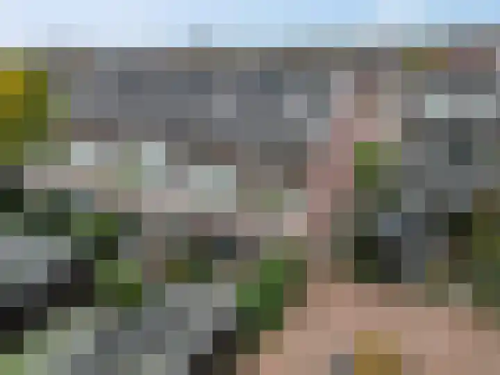 Roseboomlaan 88 Ede thumbnail 33