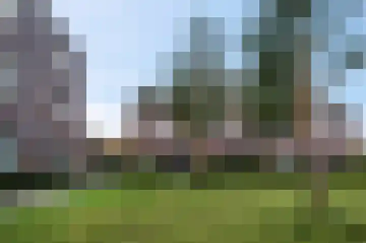 Roseboomlaan 88 Ede thumbnail 38