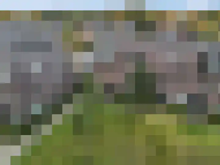 Roseboomlaan 88 Ede thumbnail 40