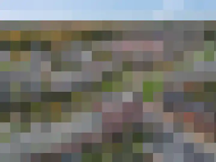 Roseboomlaan 88 Ede thumbnail 43