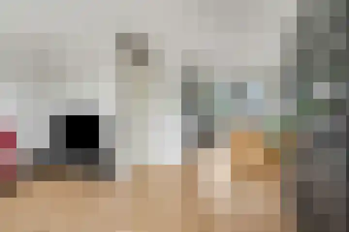 Roseboomlaan 88 Ede thumbnail 6