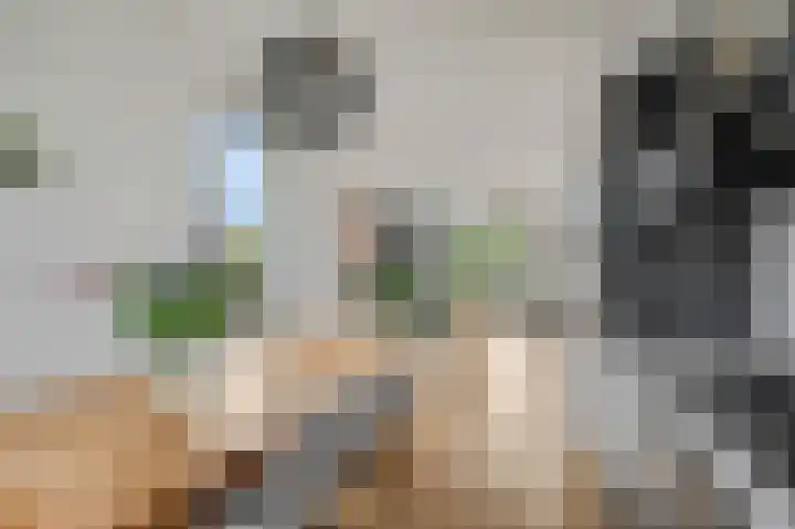 Roseboomlaan 88 Ede thumbnail 7