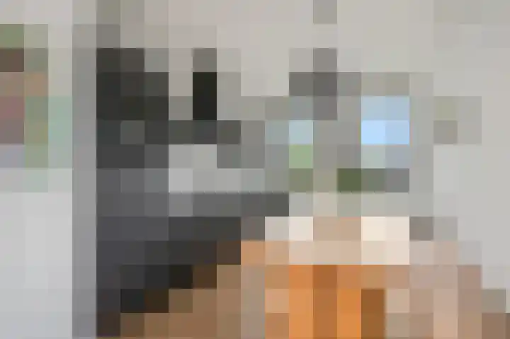 Roseboomlaan 88 Ede thumbnail 8