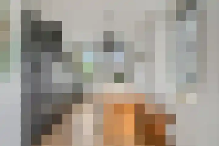 Roseboomlaan 88 Ede thumbnail 9