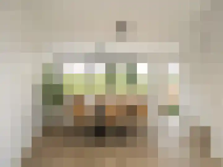 Rosellestraat 57 Badhoevedorp thumbnail 5