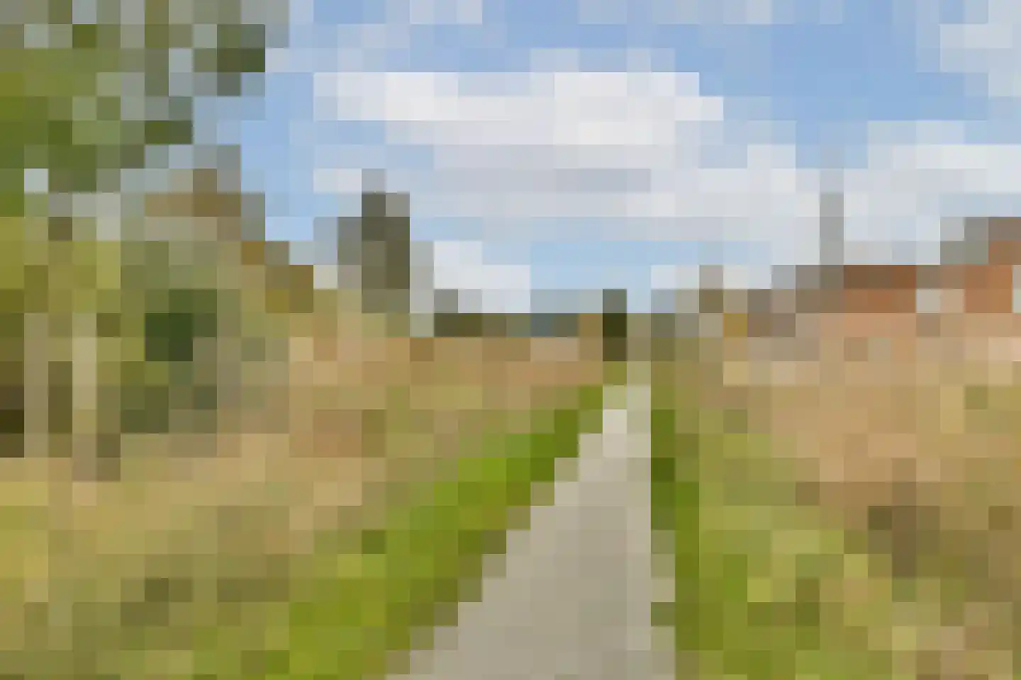 Rosellestraat 61 Badhoevedorp thumbnail 31