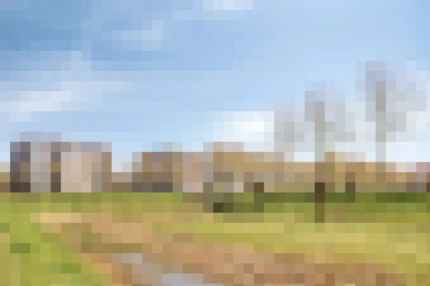 Roselmanserf 8 Helmond thumbnail 11