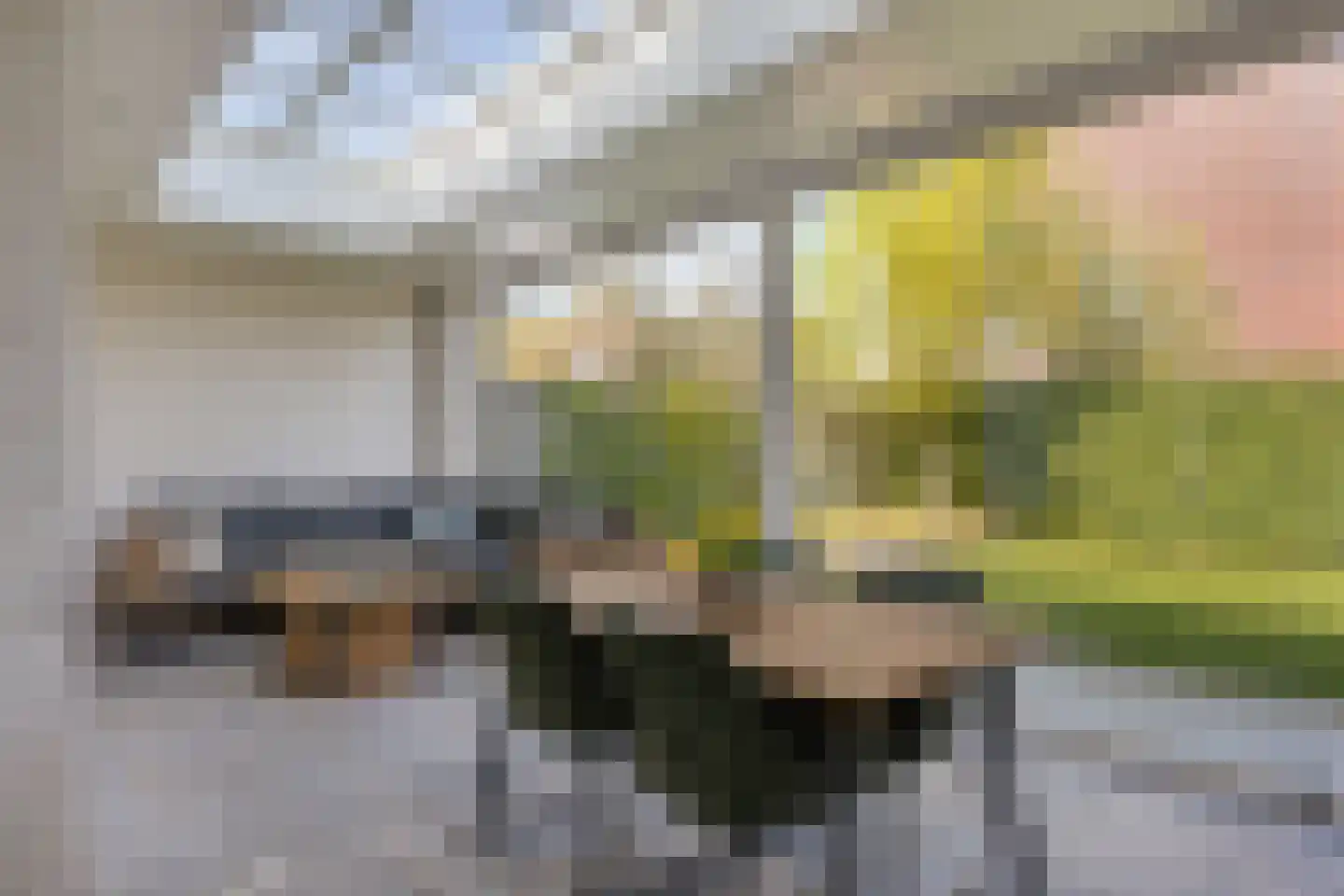 Roselmanserf 8 Helmond thumbnail 20