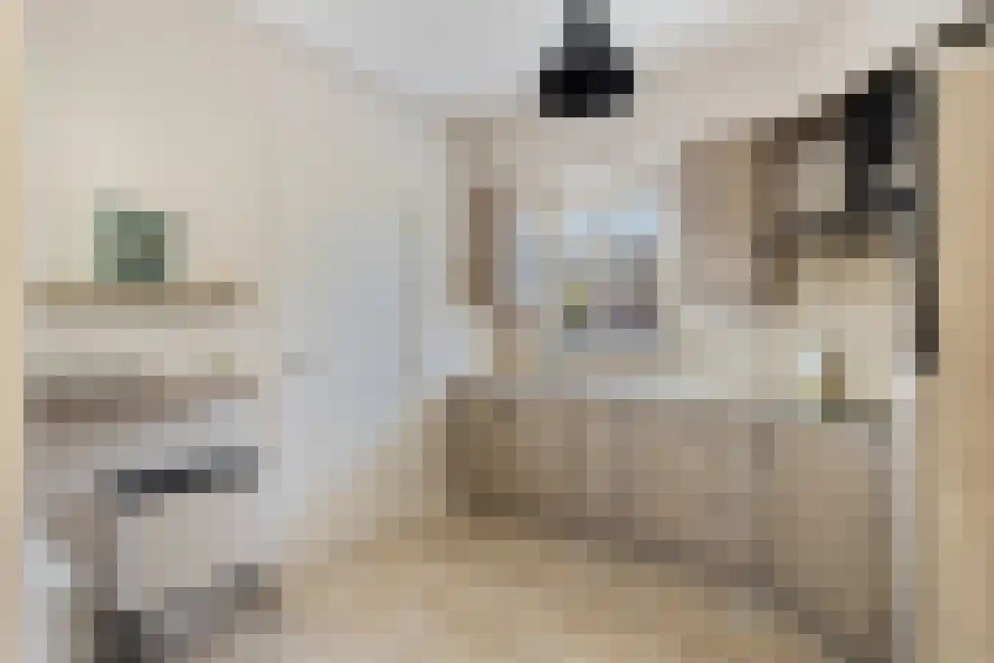 Roselmanserf 8 Helmond thumbnail 21