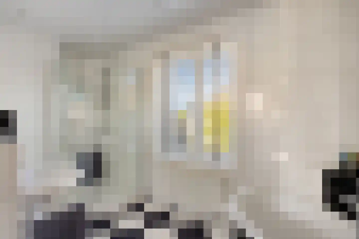 Roselmanserf 8 Helmond thumbnail 36