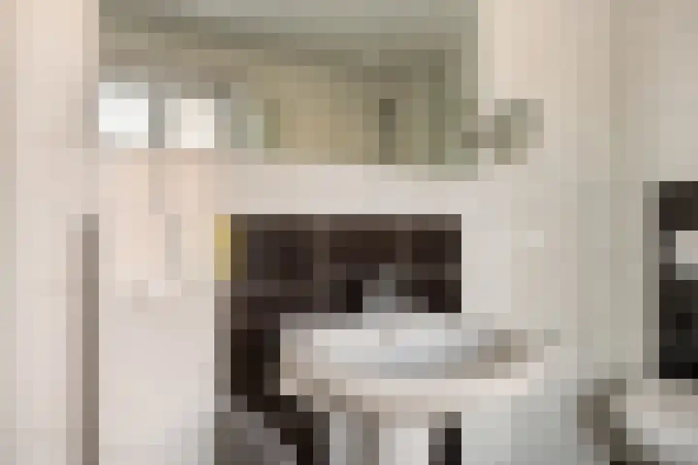 Roselmanserf 8 Helmond thumbnail 38