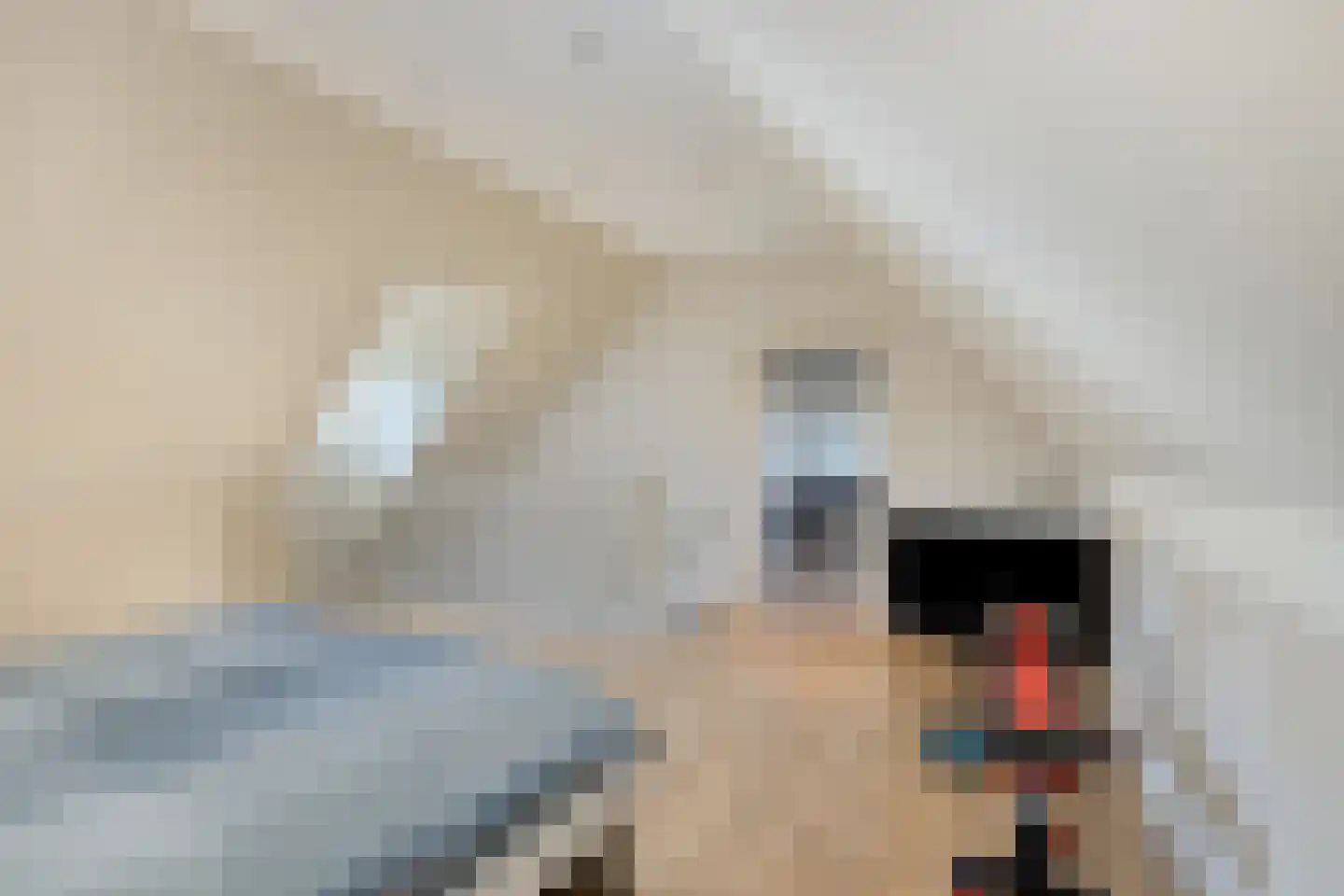 Roselmanserf 8 Helmond thumbnail 41