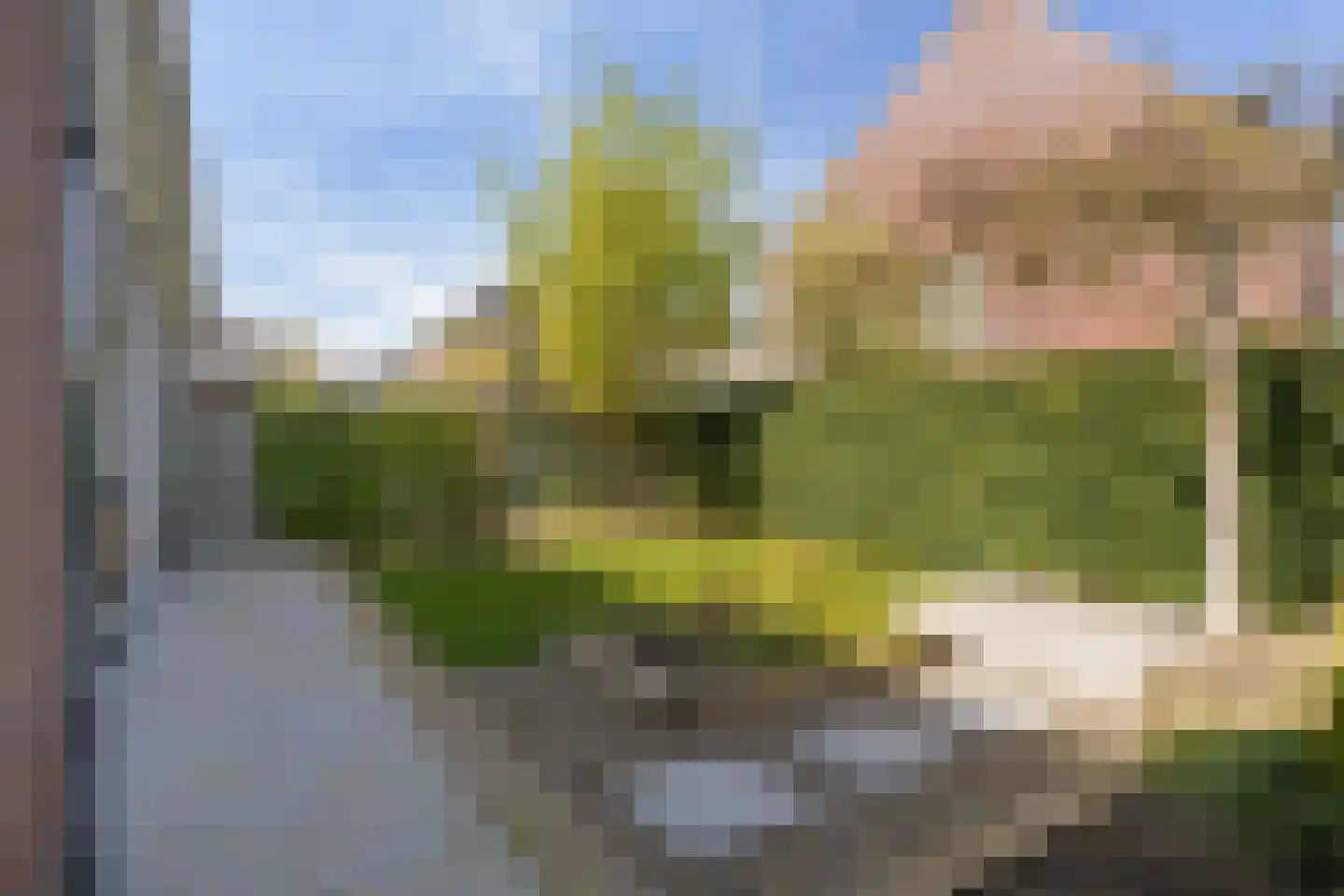 Roselmanserf 8 Helmond thumbnail 43