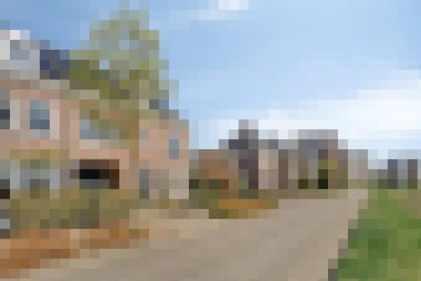 Roselmanserf 8 Helmond thumbnail 9