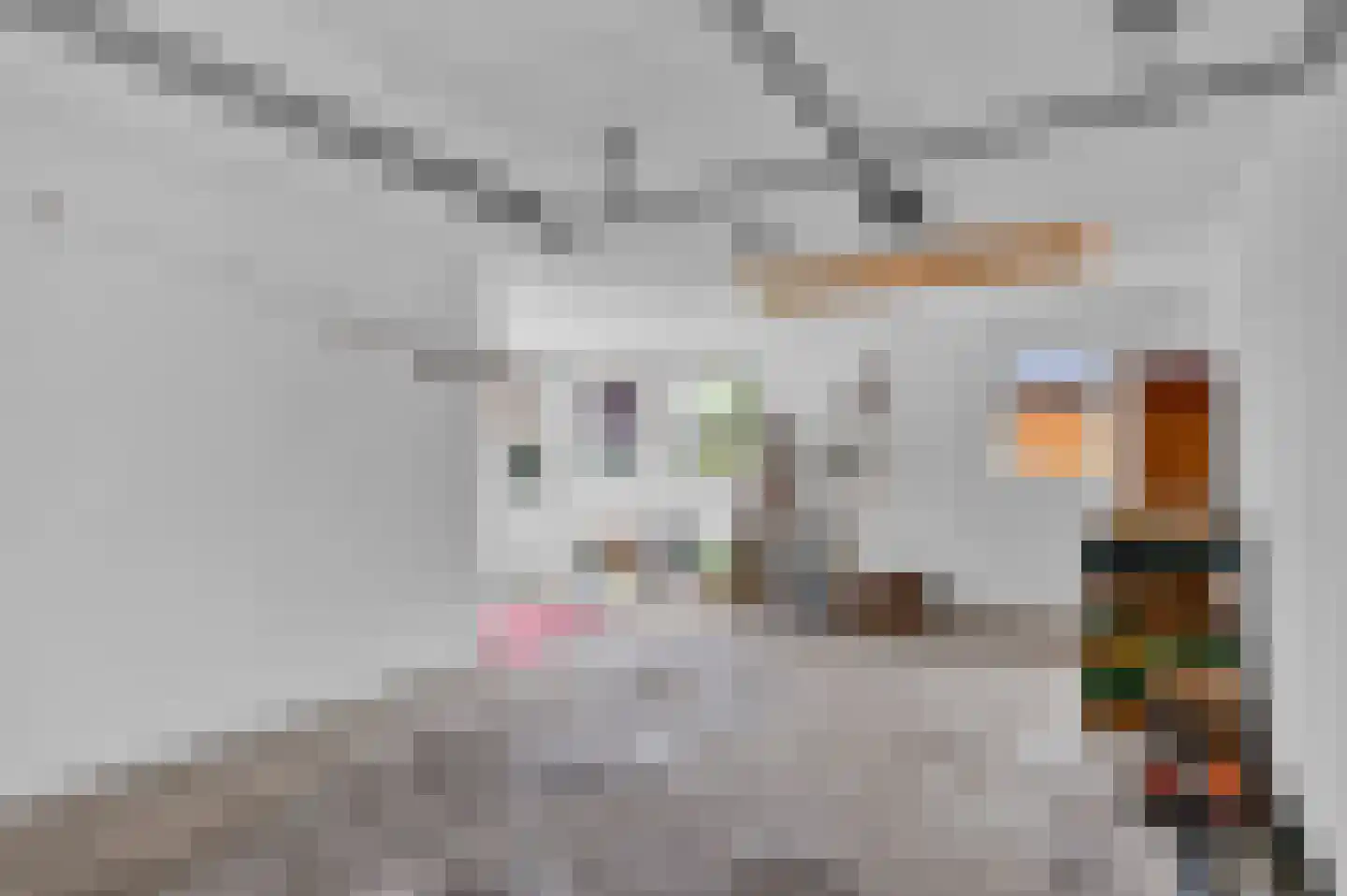 Rosenbergstrjitte 6 Balk thumbnail 22