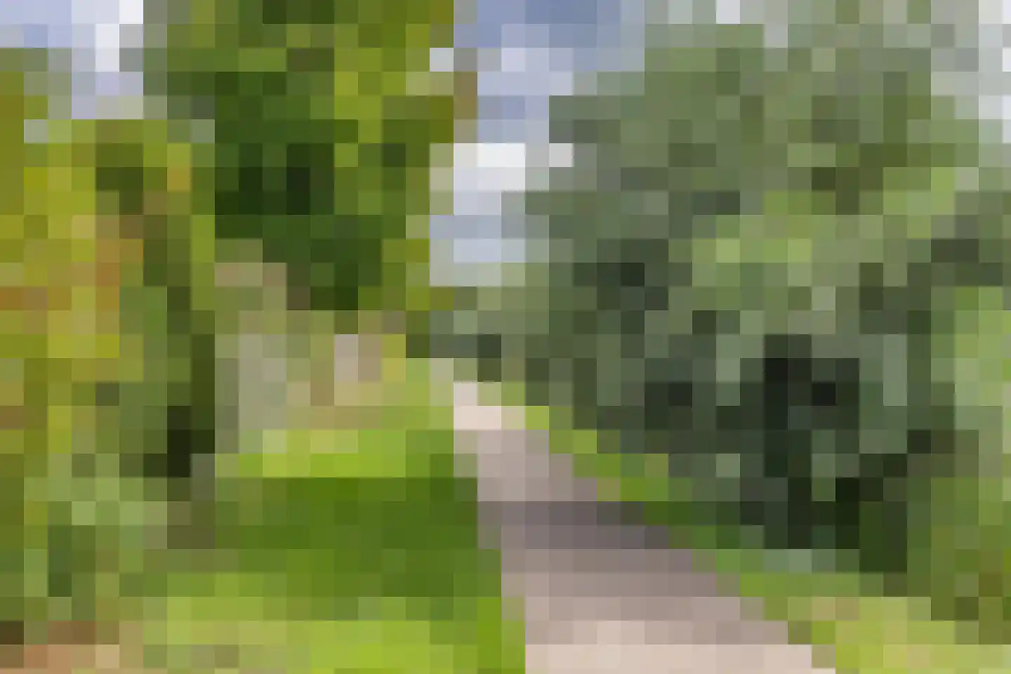 Rosenbergstrjitte 6 Balk thumbnail 49