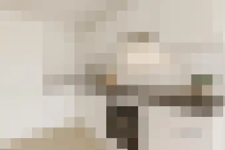 Rosenburch 4 Leiden thumbnail 8