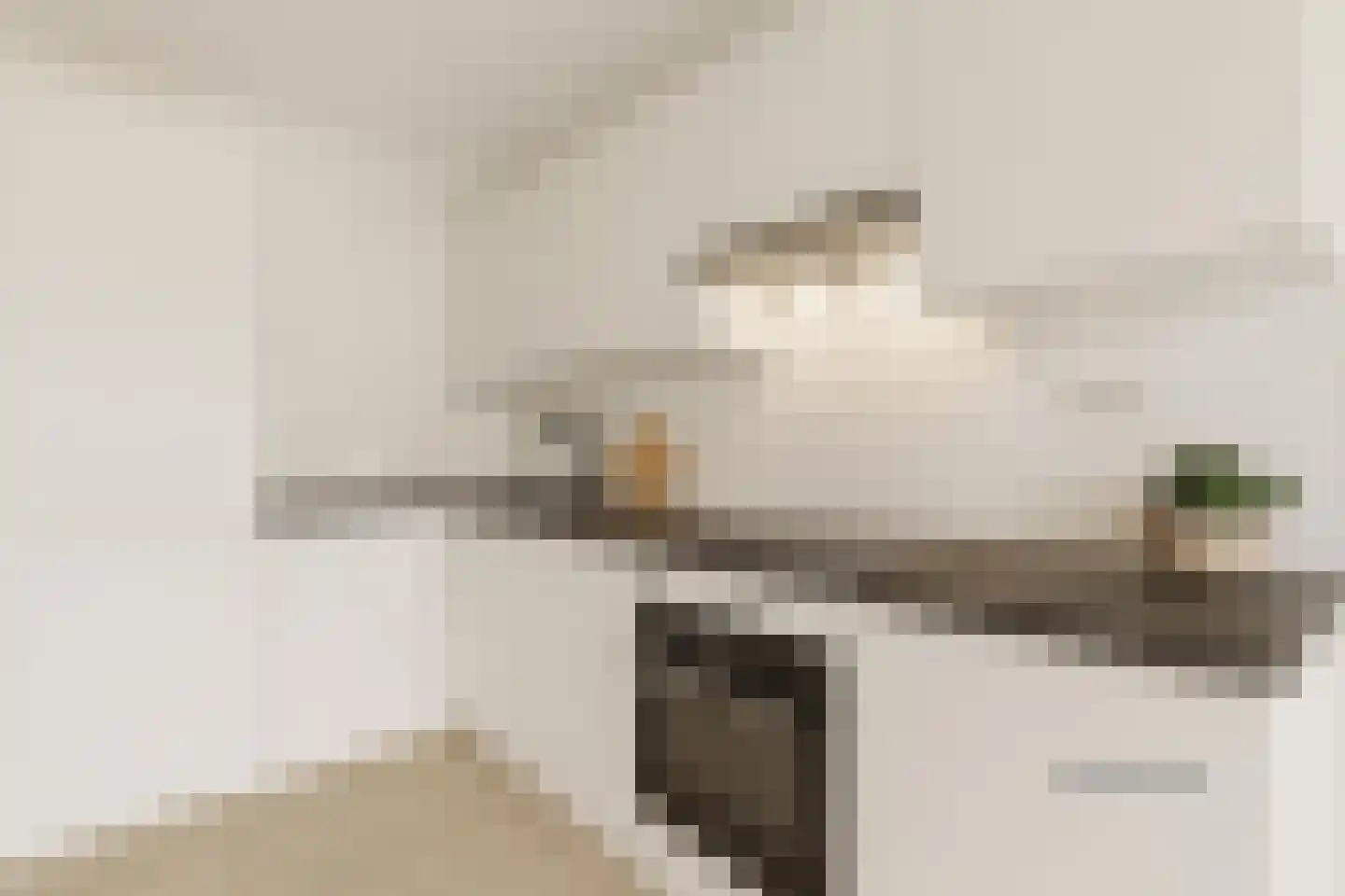 Rosenburch 4 Leiden thumbnail 8