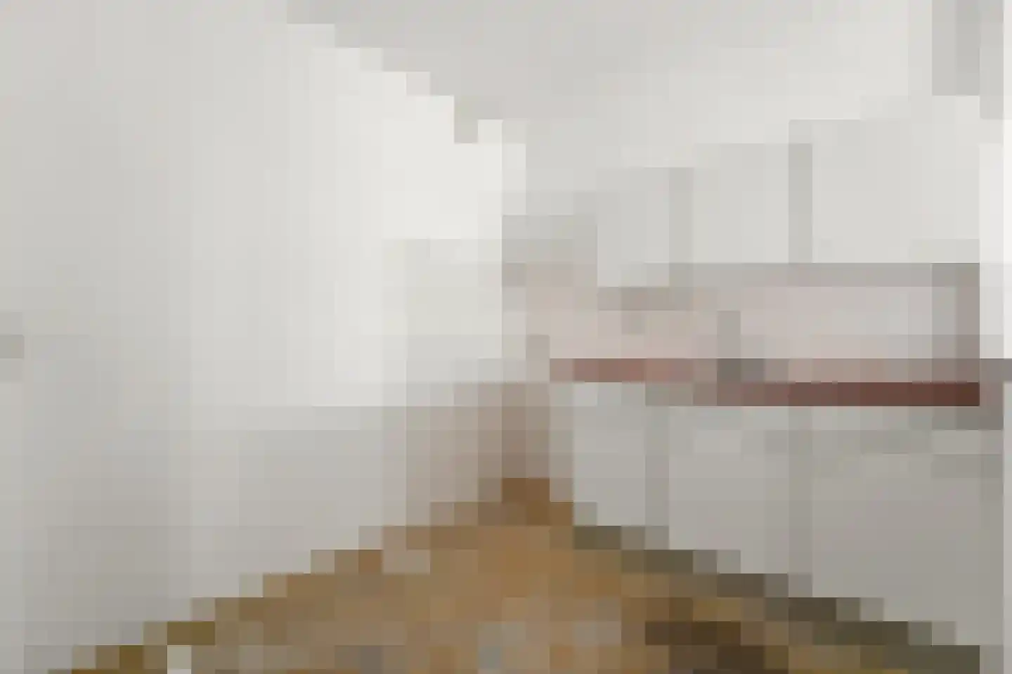 Rosenburch 76 Leiden thumbnail 6